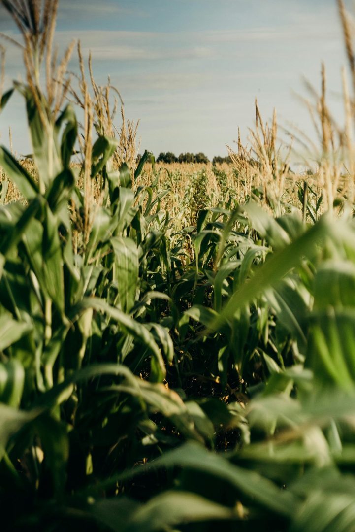 Fonds Biodiversité